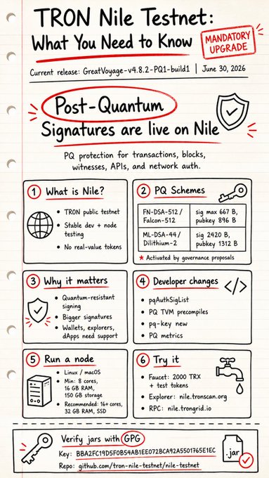 Hand-drawn infographic titled 'TRON Nile Testnet: What You Need to Know' highlighting that Post-Quantum Signatures are live, with sections on PQ schemes (FN-DSA-512, Falcon-512, ML-DSA-44, Dilithium-2), developer changes, node requirements, and a GPG verification key.