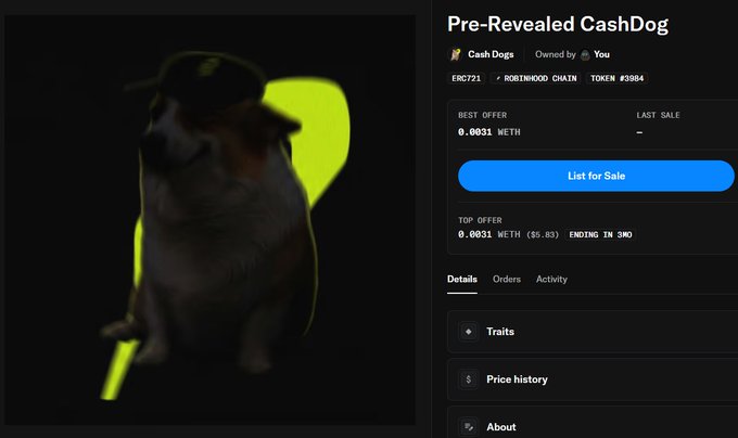 The image shows an OpenSea NFT listing page for a "Pre-Revealed CashDog" token (#3984) on the RobinHood Chain, with a best offer of 0.0031 WETH and an active top offer ending in 3 minutes. The "minted" caption aligns with the listing indicating the user has just minted this newly created CashDog NFT before its official reveal.