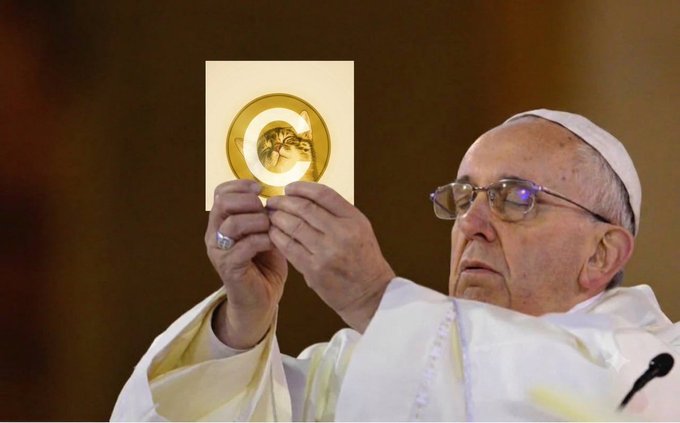 Pope Francis, wearing his white cassock and skullcap, holds up a golden religious icon depicting a holy figure during what appears to be a blessing or Mass.

The post humorously requests a "blessing" for a $CATE stock position, praying for the crypto/meme traders ("jeets") to be forgiven, diamond hands to be strengthened, and a bull run to begin—with the Pope's elevated display of the sacred icon serving as a fitting visual for the tongue-in-cheek "deity-like" blessing being sought for the investment.
