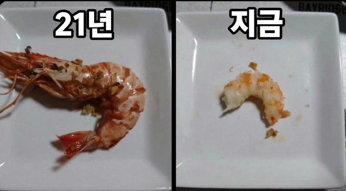 A side-by-side image shows a large prawn labeled “21번” (No. 21) on the left and a much smaller shrimp labeled “지금” (“now”) on the right, humorously illustrating a shrink in size associated with “Altcoiner Account Changes.”