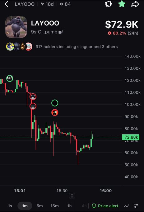 A cryptocurrency chart for 'LAYOOO' (9sFC...pump) showing a market cap of $72.9K with an 80.2% drop in 24 hours, traded on what appears to be a Solana-based platform.