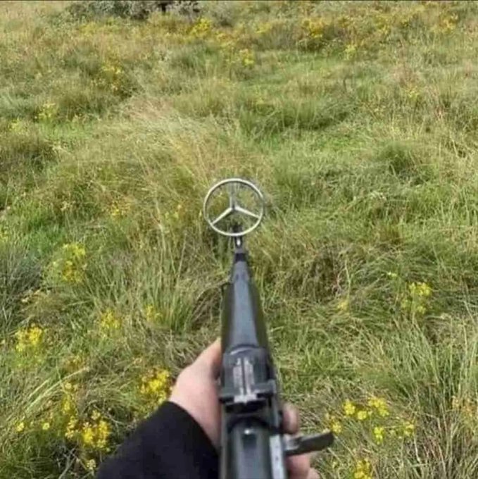 A first-person view of someone holding a firearm with a Mercedes-Benz logo on the front sight, aimed at a grassy field.