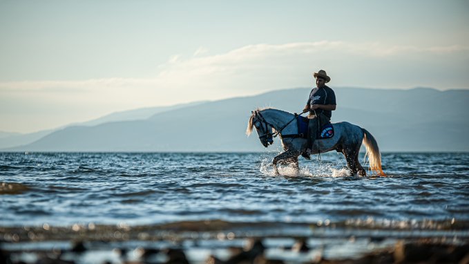 A person wearing a hat rides a white horse through shallow water against a backdrop of hazy mountains and a clear sky.