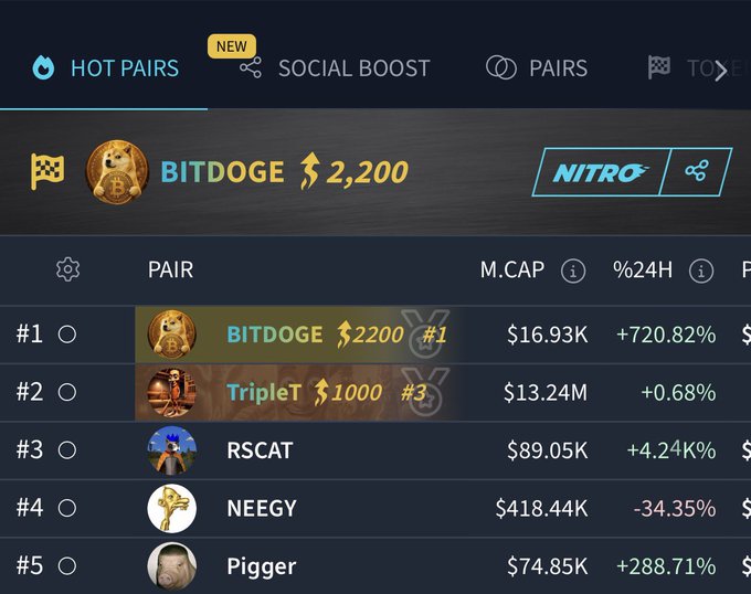 A crypto trading interface showing the 'HOT PAIRS' tab with BITDOGE priced at $2,200 (+720.82% in 24H), leading the list followed by TripleT, RSCAT, NEEGY, and Pigger.
