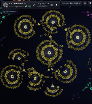 A screenshot from DexScreener shows the "CATALORIAN" token's (Elon's Space Cat) profile, displaying multiple cluster patterns of overlapping yellow circles that visually represent wallets holding the token. The repeating spiral formations illustrate the bundled nature of the token's holders—a key indicator supporting the post's claim that 60% of the supply is bundled and hidden behind distributed wallet addresses.