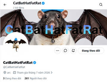 The image shows a Twitter/X profile page for "CatBatHatFatRat" (@CatBatHatFatRat), featuring a banner with a fruit bat wearing a blue hat and a small bat profile picture, with stats showing 3 following, 261 followers, and a "Joined July 2026" date. The accompanying post hints at a potential future token launch "$CASHCAT on Arc," tying into the account's bat and cat-themed branding.