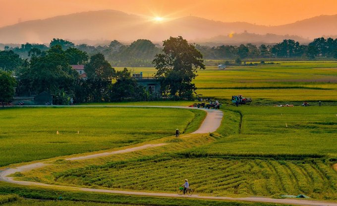 The image features a beautiful sunset over a rice field with mountains visible in the background. A couple of people can be seen walking near an old road, which is the central focus of the scene. The overall atmosphere suggests that this could be a picturesque location for a picture shoot or simply a peaceful moment to enjoy the view.