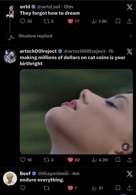 A screenshot of an X (Twitter) timeline showing crypto-related posts: user "wrld" (@wrld_sol) tweets "They forgot how to dream," followed by "artsch00Ireject" (@artsch00Ireject) commenting "making millions of dollars on cat coins is your birthright" alongside a video of a woman looking upward, and finally "Beef" (@Alayonimiii) replying "endure everything."