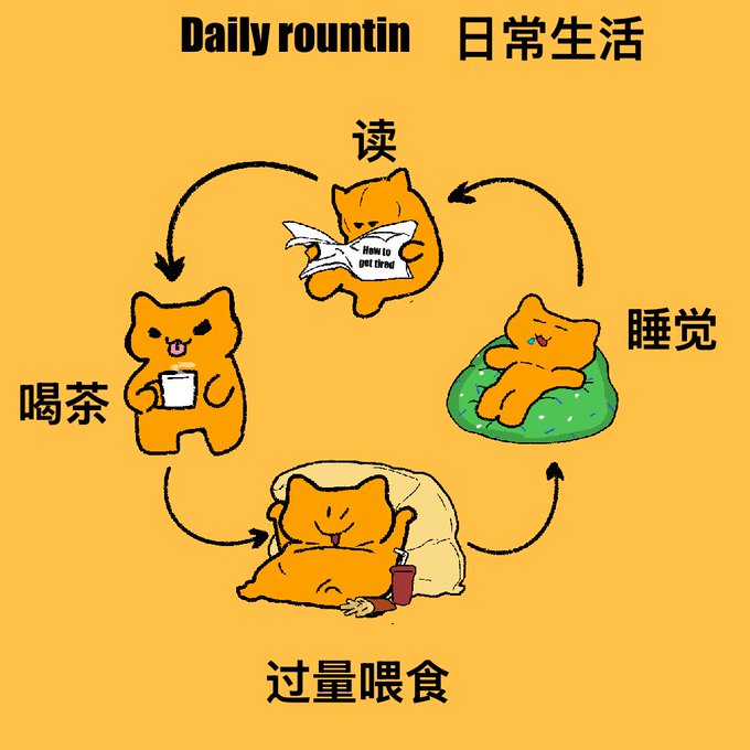 A yellow cartoon graphic titled 'Daily routine 日常生活' depicts a cat's daily cycle in Chinese: drinking tea (喝茶), reading (读), sleeping (睡觉), and overeating (过量喂食).