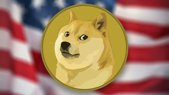 ikakai, a yellow-faced dog with black eyes and nose, is depicted against the backdrop of an American flag.
