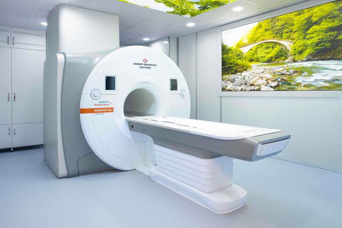 A Siemens Healthineers MAGNETOM Vida MRI machine is shown in a modern medical room, perhaps a stark contrast to the "bear market" described, implying a literal examination to understand what is "under the skin" or "deep within."