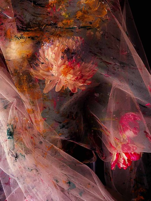 Pink chrysanthemum flowers entangled in sheer, paint-splattered pink tulle fabric against a black background.
