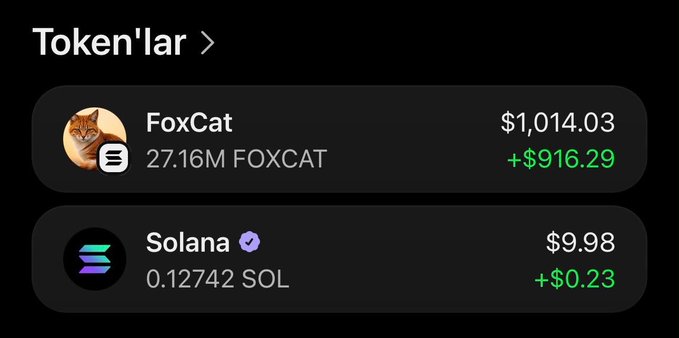 A crypto portfolio screenshot showing two token holdings: FoxCat (FOXCAT) valued at $1,014.03 with a gain of +$916.29 (27.16M tokens), and Solana (SOL) at $9.98 with a gain of +$0.23 (0.12742 SOL), presented to demonstrate eligibility or winnings from a $1,000 $FOXCAT giveaway promotion.