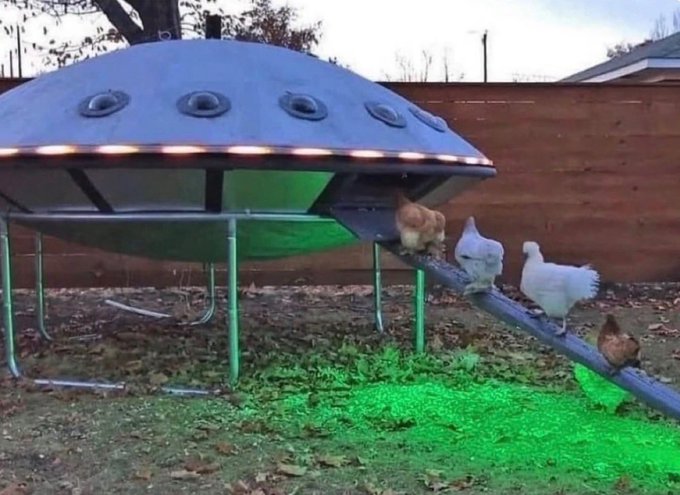 A backyard chicken coop has been cleverly transformed into a UFO-shaped hen house, with several chickens climbing a ramp toward the spacecraft while green lighting creates an eerie alien glow on the ground, perfectly matching the post's playful "Hen moon" UFO theme.