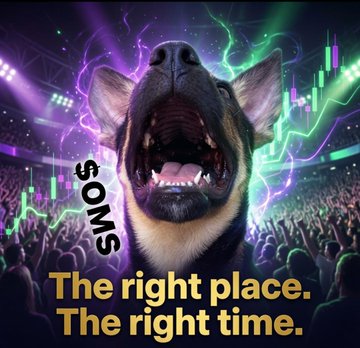 A meme featuring a barking Shiba Inu dog superimposed over a concert crowd with neon green candlestick charts in the background, accompanied by the text 'SOMS' and 'The right place. The right time.'