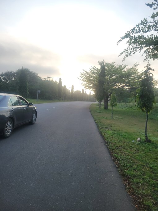 An early morning scene on a quiet road with a parked black car, lined by trees and grass under a soft, hazy sky.