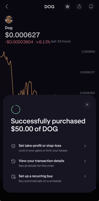 The image shows a phone screen with an app called Dog, which allows users to buy dogs for $DOG. The app has a success message at the top that reads "Successfully purchased $DOG of DOG". There are several options on the screen, including how to set up automatic payments and what to do if there is a problem during the transaction.