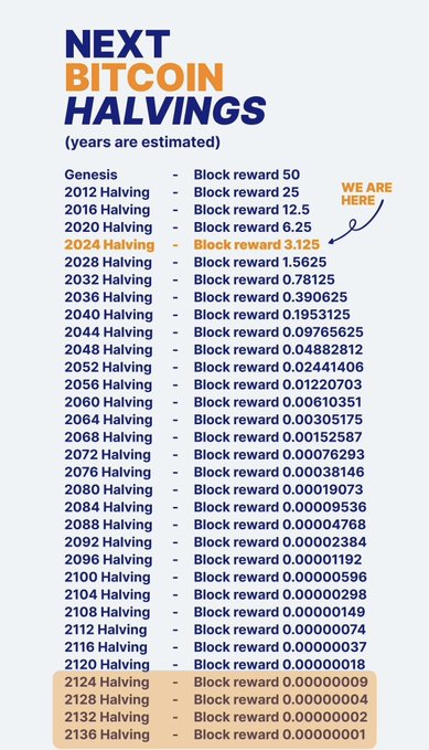 An informational chart titled 'NEXT BITCOIN HALVINGS' listing estimated years and their corresponding decreasing block rewards, starting from the Genesis (Block reward 50) and highlighting the current '2024 Halving' (Block reward 3.125) with a 'WE ARE HERE' marker.