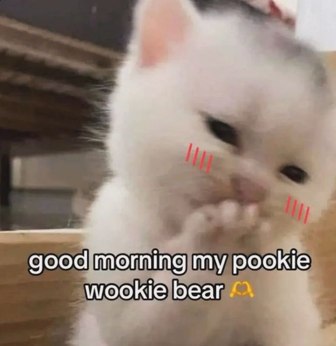 A cute kitten with digitally added red blush marks on its cheeks holding its paws up, with the caption 'good morning my pookie wookie bear' and a bear emoji.