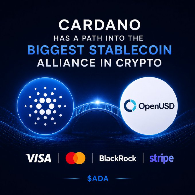 A promotional graphic featuring the Cardano logo and OpenUSD emblem connected by a glowing bridge, with the headline "CARDANO HAS A PATH INTO THE BIGGEST STABLECOIN ALLIANCE IN CRYPTO," alongside partner logos for Visa, Mastercard, BlackRock, and Stripe, and the $ADA ticker at the bottom—visually reinforcing the post's message about Cardano's potential integration into a major stablecoin ecosystem.