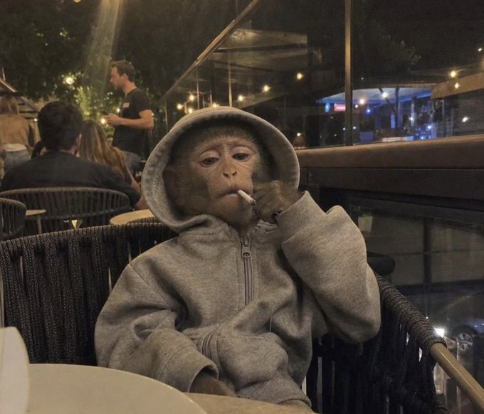 A young monkey wearing a gray hoodie appearing to smoke a cigarette while sitting at what looks like an outdoor cafe or restaurant at night.