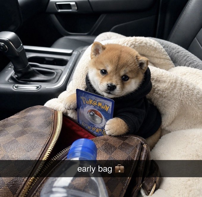 An adorable Shiba Inu puppy wearing a black hoodie and holding a Pokémon card, sitting in a car seat next to a Louis Vuitton bag, with the caption 'early bag 👜'.