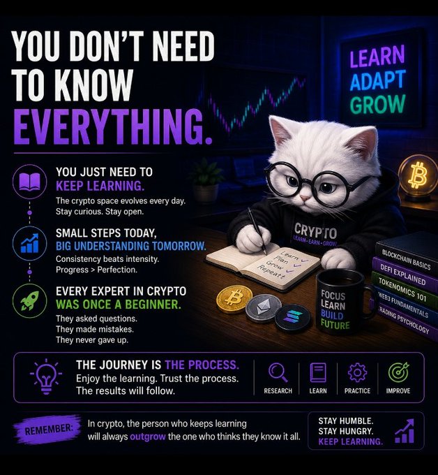 A motivational crypto learning poster with a cat wearing glasses, titled 'YOU DON'T NEED TO KNOW EVERYTHING,' featuring text like 'LEARN ADAPT GROW,' 'KEEP LEARNING,' and 'THE JOURNEY IS THE PROCESS,' alongside cryptocurrency logos (Bitcoin, Ethereum, Solana).