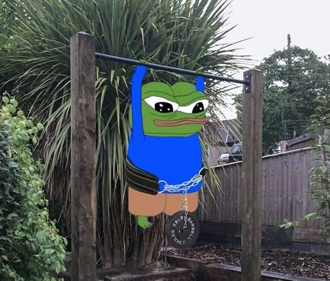 A humorous yard decoration showing a Pepe the Frog cutout dressed in a blue shirt and brown shorts, appearing to do pull-ups on a pull-up bar with a weight plate attached, set against palm trees.