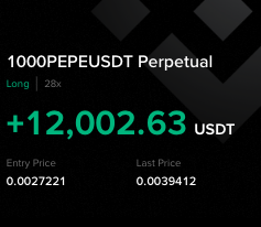 A trading interface showing a long position on '1000PEPEUSDT Perpetual' at 28x leverage with a profit of +12,002.63 USDT, with an entry price of 0.0027221.
