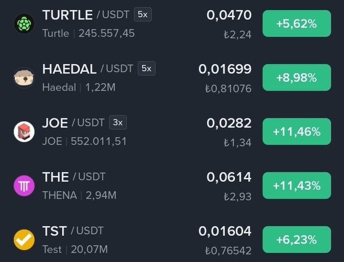 The image displays a cryptocurrency price list showing five tokens (TURTLE, HAEDAL, JOE, THE, and TST) paired with USDT, all showing positive price changes ranging from +5.62% to +11.46%, with prices between ₺0.76542 and ₺2.93. This appears to be supporting evidence for the post's suggestion to invest in low market cap tokens, though the post mentions several additional tickers ($ACE, $TREE, $MITO, $SHELL, $PARTI) that are not shown in this particular image.