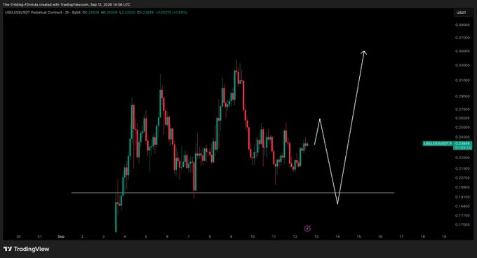 A TradingView 2-hour candlestick chart of $USELESS/USDT on Binance, showing price hovering around 0.22864 (down 0.95%), with a hand-drawn white arrow illustrating the trader's plan: an expected dump toward ~0.19190 support followed by a sharp rally toward ~0.39000, aligning with the post's strategy of buying the dip at support.