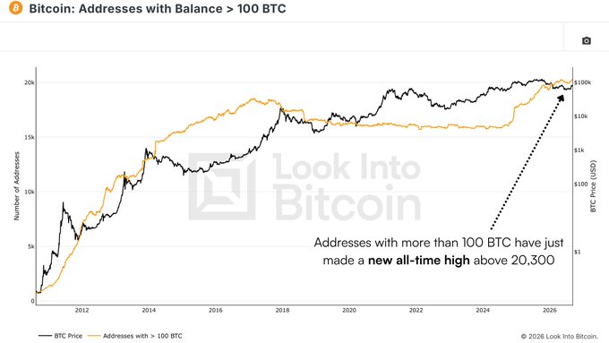 A chart titled 'Bitcoin: Addresses with Balance > 100 BTC' from Look Into Bitcoin shows BTC price and address trends, noting 'Addresses with more than 100 BTC have just made a new all-time high above 20,300'.
