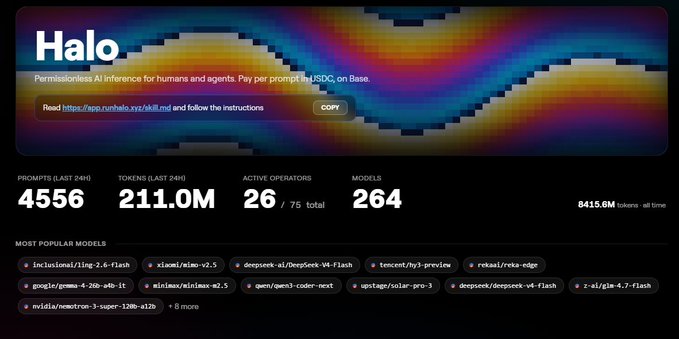 A dashboard for 'Halo' (run.halo.xyz), a permissionless AI inference platform on Base, displaying 4556 prompts and 211.0M tokens in the last 24h, 26 active operators, and 264 models including 'inclusionAI/ling-2.6-flash' and 'deepseek-ai/DeepSeek-V4-Flash'.