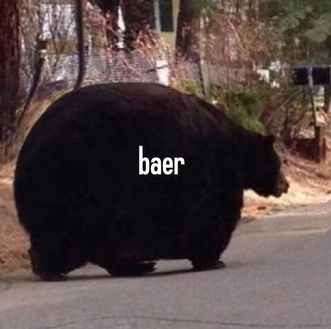 A humorously round black bear walking on a paved road, overlaid with the text 'baer' (phonetic spelling of 'bear').