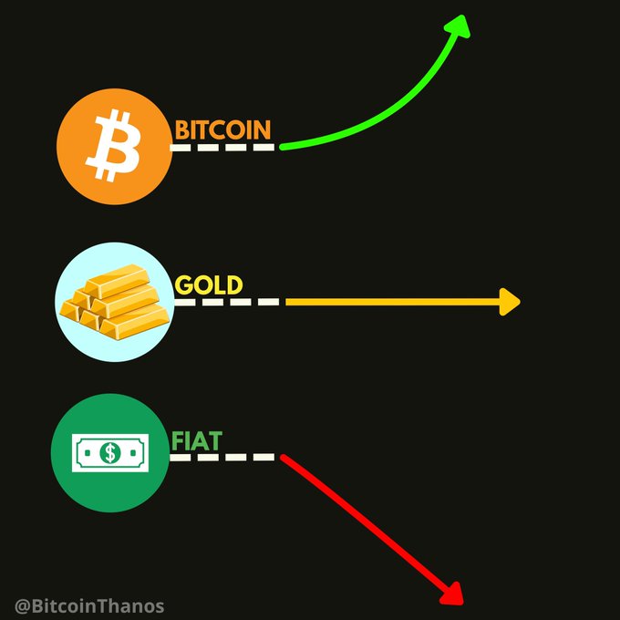The image displays a graph-like infographic comparing three assets: Bitcoin (with a green upward arrow indicating growth), Gold (with a yellow horizontal arrow indicating stability), and Fiat (with a red downward arrow indicating decline), crediting "@BitcoinThanos." 

The visual reinforces the post's message by suggesting Bitcoin, as pure mathematics with predictable supply, is the only asset capable of sustained upward growth, while traditional stores of value like gold stagnate and government-issued fiat currencies inevitably lose purchasing power.