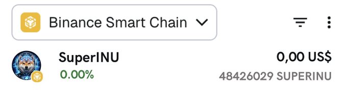 A Binance Smart Chain wallet screenshot showing a token called 'SuperINU' with a balance of 4,842,6029 SUPERINU valued at $0.00.