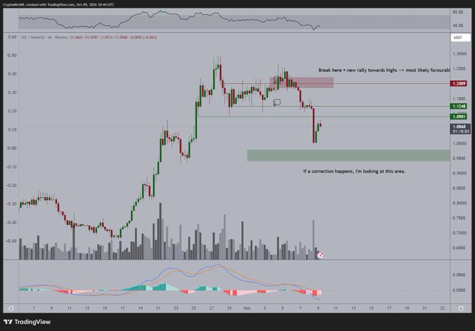 A TradingView chart of $SUI/USDT on Binance showing the cryptocurrency's recent price action with technical analysis annotations indicating "Break here = new rally towards highs >>> most likely favourable" around the $1.3000 resistance level and a potential support zone highlighted near $1.0000 where the poster suggests looking for buying opportunities if a correction occurs.

The chart visually supports the post's view by displaying the recent pullback in SUI from its highs, with the annotated support zone suggesting where buyers might step in to push prices back toward the upper resistance level.