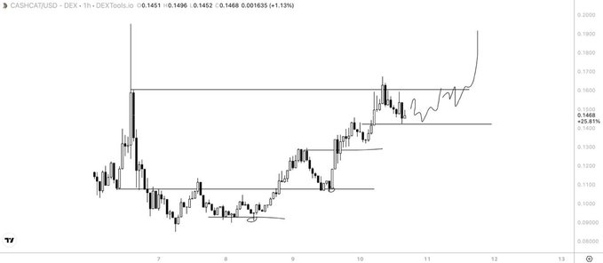 A candlestick price chart for CASHCATUSD on DEXTools showing a +1.13% price movement with significant volatility and technical analysis trendlines drawn on the chart.