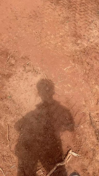 A shadow of a person cast on reddish dirt ground, with a small stick visible at the bottom of the frame.