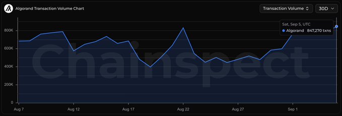 A line chart titled 'Algorand Transaction Volume Chart' from Chainspect shows the transaction volume for Algorand over the past 30 days, peaking at 847,270 transactions on Sat, Sep 5.