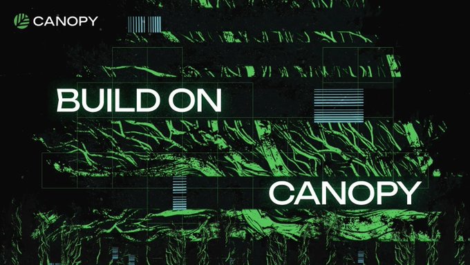 A dark, textured green and black graphic with glitch elements displaying the text 'BUILD ON CANOPY' and the Canopy logo in the upper left corner.
