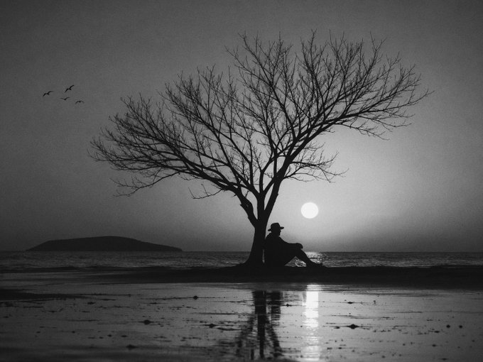 A lone figure wearing a hat sits in silhouette beneath a bare, sprawling tree on a desolate shore, gazing at the glowing moon over a calm sea, with birds drifting across the dusky sky—evoking the melancholic stillness and contemplative solitude that matches the artwork's title "The Last Light" and the artist's gratitude to a collector.