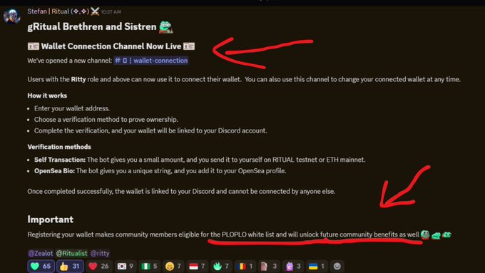 This Discord message announces the launch of "Wallet Connection Channel" for gRitual Brethren and Sistren, allowing users with the Ritty role to link their wallets for PLOPLO whitelist eligibility and future benefits. The image shows the detailed announcement on the Discord platform.