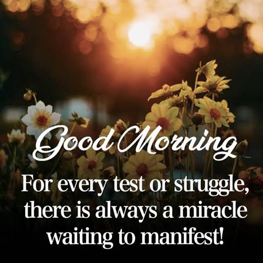 A 'Good Morning' inspirational graphic with a sunset and yellow flowers, reading: 'For every test or struggle, there is always a miracle waiting to manifest!'