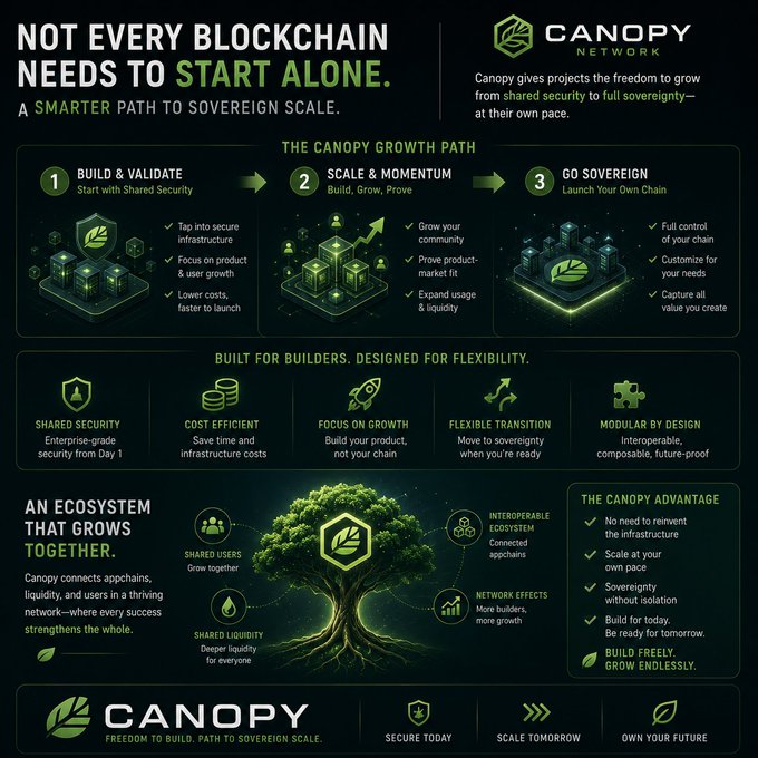 Canopy Network infographic detailing 'Not Every Blockchain Needs to Start Alone' with a three-phase growth path (Build & Validate, Scale & Momentum, Go Sovereign) and ecosystem benefits.