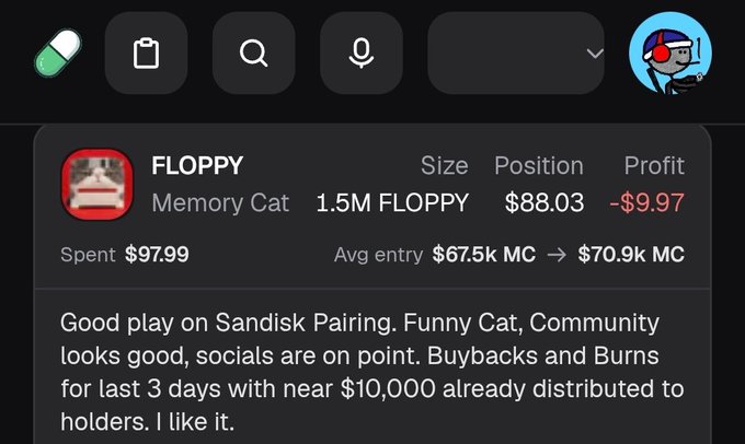A screenshot showing portfolio analytics for 'FLOPPY - Memory Cat' with Size 1.5M FLOPPY, Position $88.03, Profit -$9.97, Spent $97.99, and a note praising Sandisk Pairing, Funny Cat, and Community efforts.