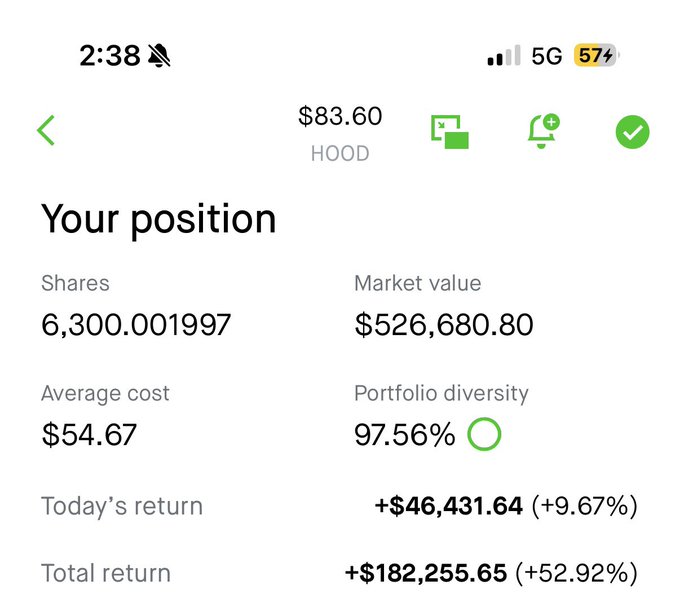 The image shows a screenshot of an app called "HOOD", which appears to be related to financial matters, such as stock trading or investment analysis. The main focus of the image is a cell phone screen displaying information about shares and their market value. The screen also includes a green checkmark symbolizing a positive status, indicating that the user's position has been successfully set up.
