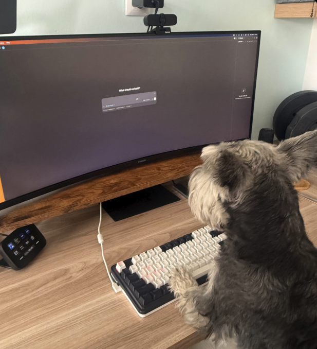 The image shows a small dog sitting at a desk with its paw on a keyboard, seemingly interested in the computer screen. The background of the image features a monitor displaying a website called "www.focusonpolygon.com". This website appears to be related to the post about creating private markets for product and roadmap decisions or setting up confidence-based decision making within meetings.