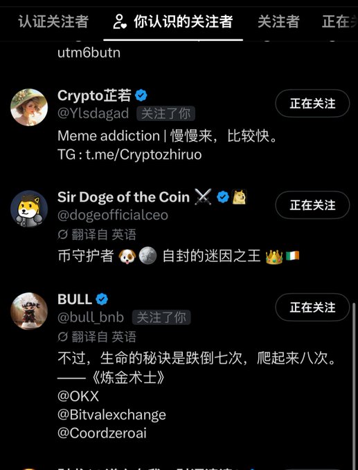 A dark-mode social media profile list showing accounts including 'Crypto 正君 (@Ylsdagad)', 'Sir Doge of the Coin (@dogeofficialceo)', and 'BULL (@bull_bnb)' with a search query 'utm6butn' at the top.