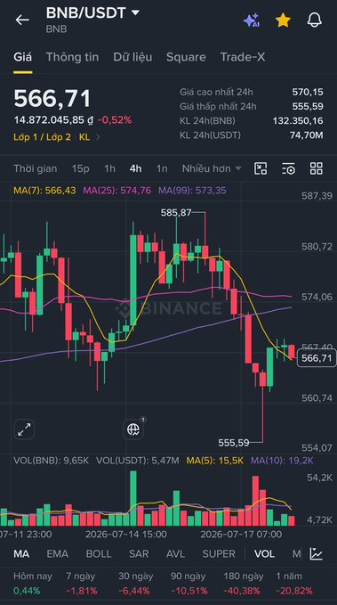 A Binance trading chart shows BNB/USDT trading at 566.71, down 0.52% over 24 hours, with a 4-hour candlestick chart highlighting a recent low of 555.59 and high of 585.87. The image illustrates the poster's concern about BNB's decline from their entry point at 638, emphasizing the distance between the current price and their optimistic target of 700.